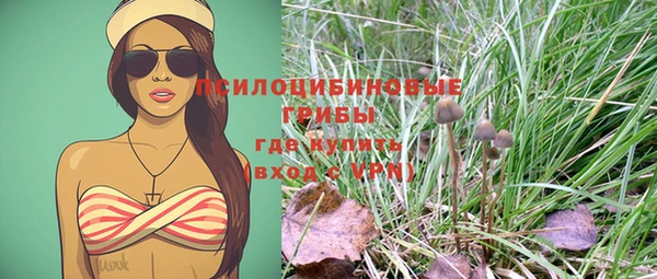 не бодяженный Аркадак