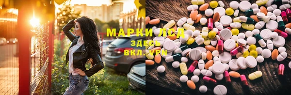 герыч Арсеньев
