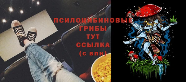 молекула духа Алексин