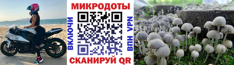 Галлюциногенные грибы GOLDEN TEACHER  Чапаевск 